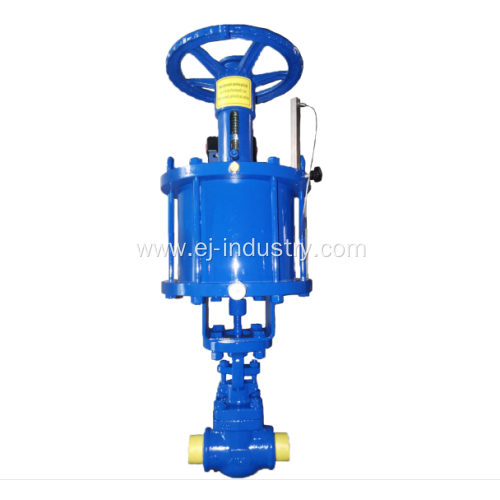 API602 Forged Globe Valve